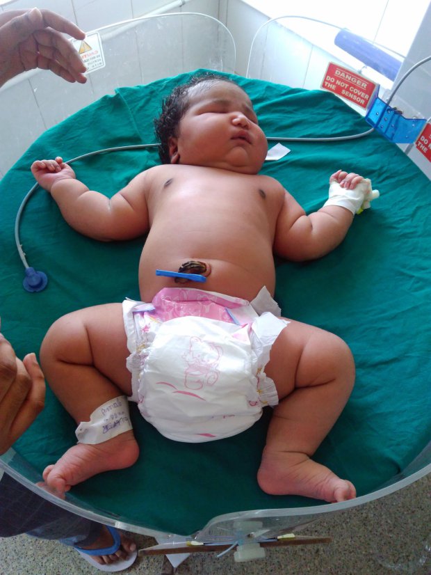 Nandini baby_1