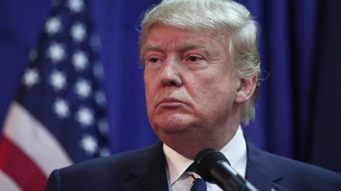donald trump _1