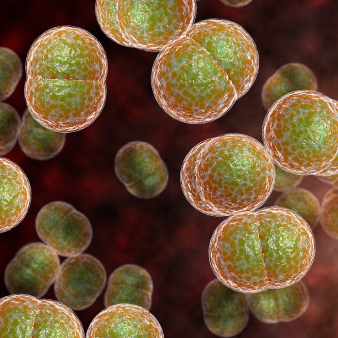 Meningitis