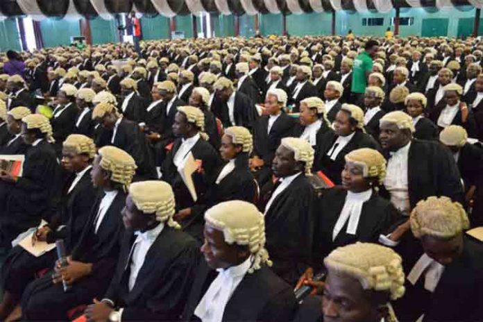 cross-section-of-lawyers