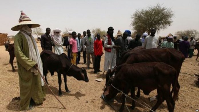 miyetti-allah-herdsmen