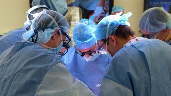 surgeons