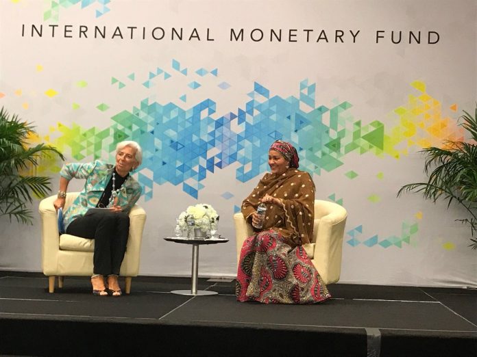 Large - Amina-Mohammed