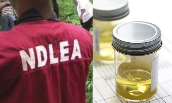 ndlea-urine