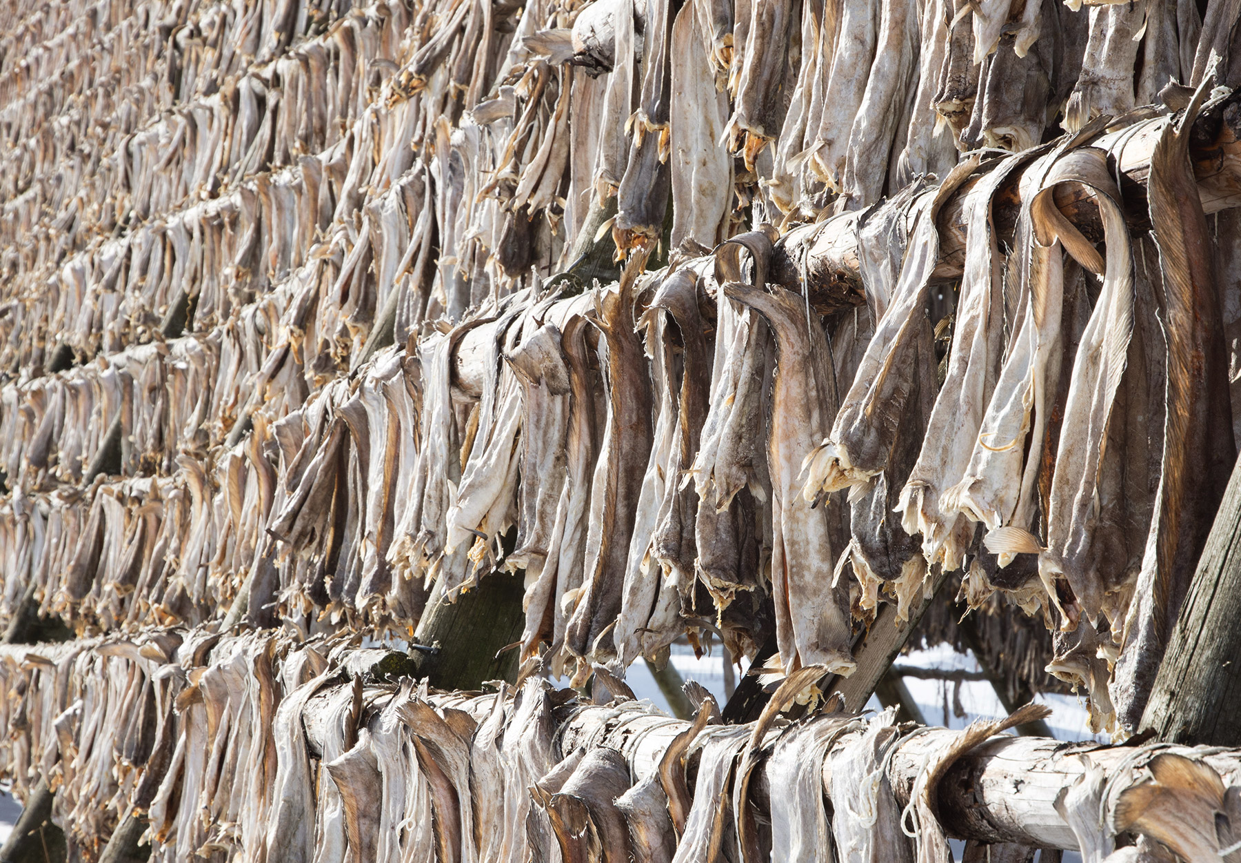 Norway Begs Nigeria to Remove Stockfish from Forex Ban List