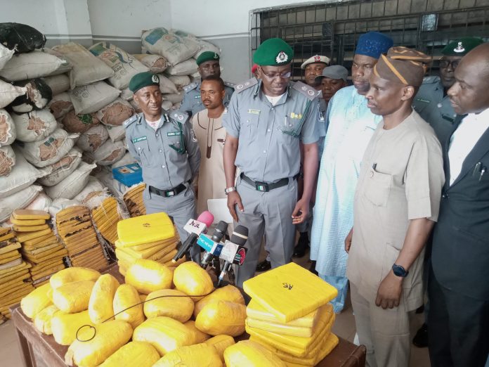 customs-ndlea-marijuana-sieze-1