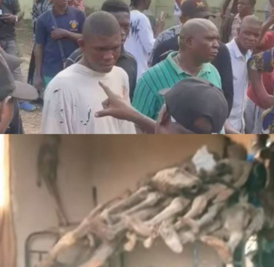 edo mummified morgue