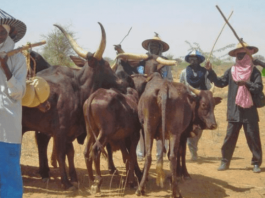 US Targets Visa Ban, Asset Freeze For Miyetti Allah Over Christian Persecution Claims