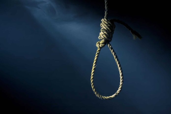 hanging-1536x1024