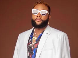 I was under pressure when Presh suggested we go solo – Kcee